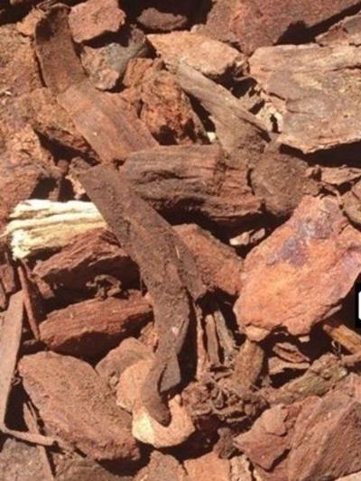 Premium Nuggets (Canterbury Bark) 