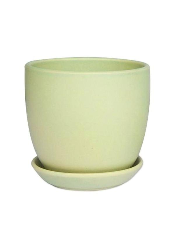 Mini Tulip Pot 9cm Green