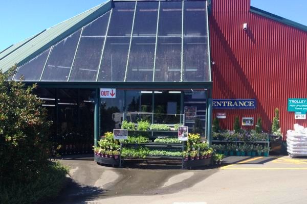 garden centre, quality plants, friendly knowledgeable staff, gardening, havelock north
