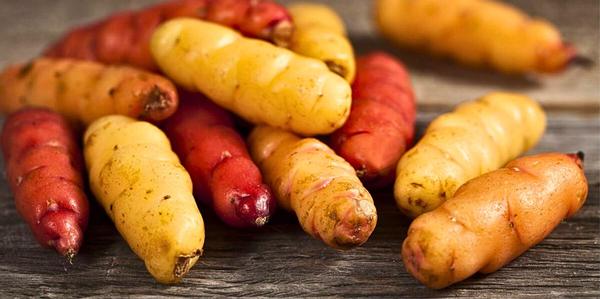 Seed, Yams
