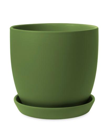 Classic Tulip Pot Kiwiberry 17cm