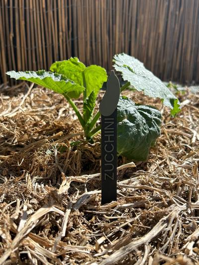 Plant Marker - Zucchini
