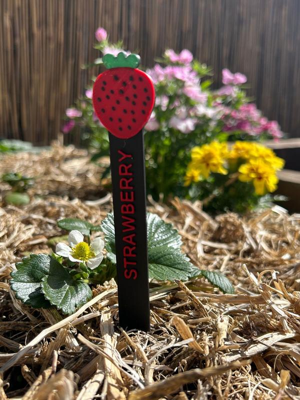 Plant Marker - Strawberry