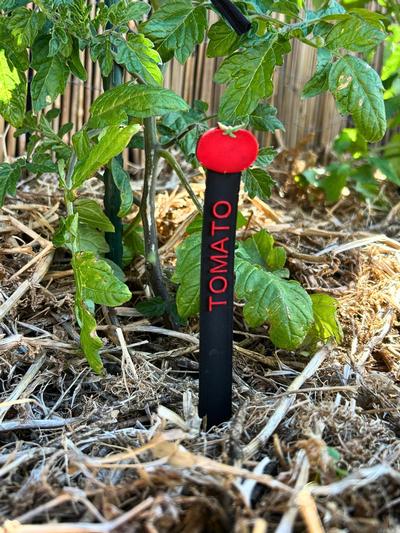 Plant Marker - Tomato
