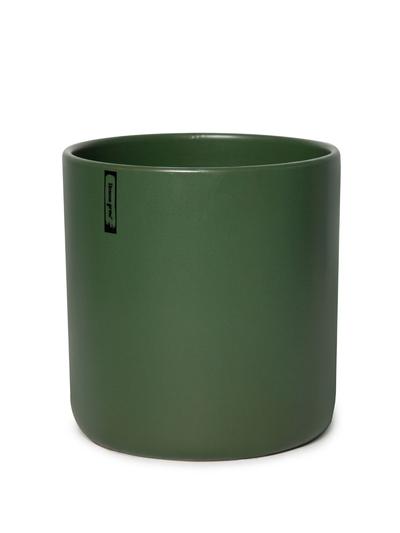 Niki Pot Seaweed Niki Pot Seaweed