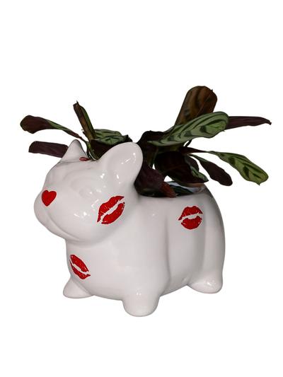 Valentine&acute;s French Pup Pot 9cm