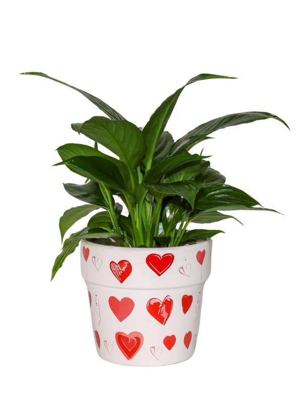 Valentine&acute;s Love Heart Pot 9cm 