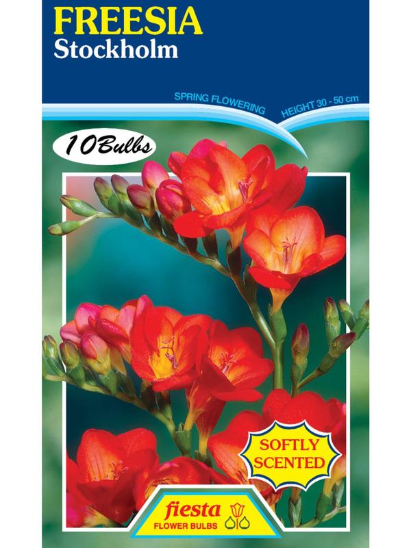 Freesia Stockholm