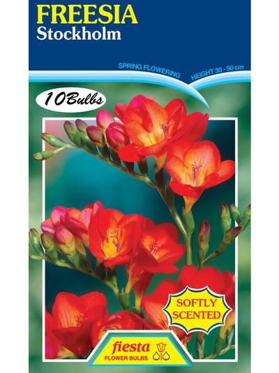 Freesia Stockholm