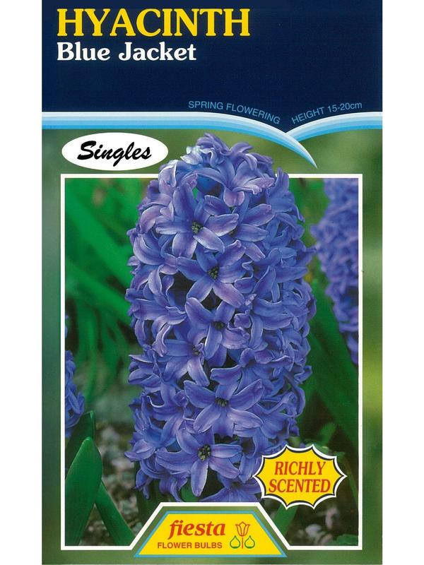 hyacinth Blue Jacket 