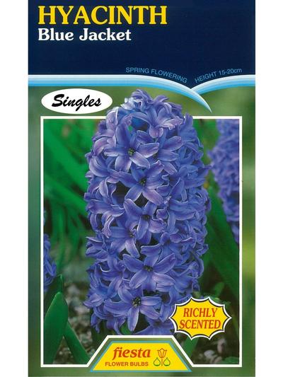 hyacinth Blue Jacket 
