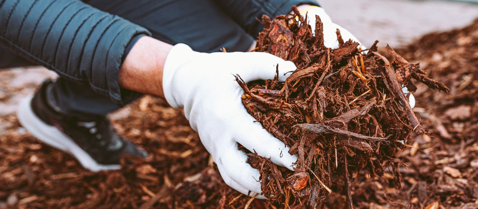 Mulching Mulching