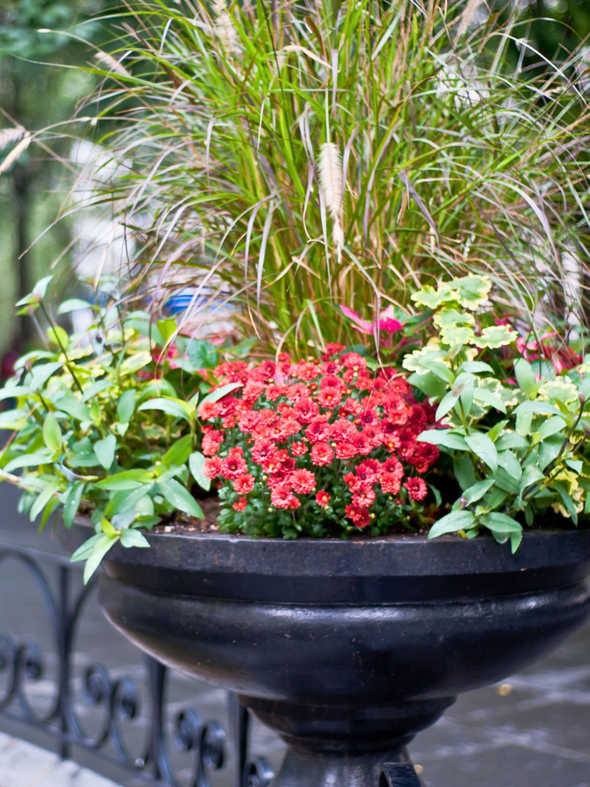 Container Gardens