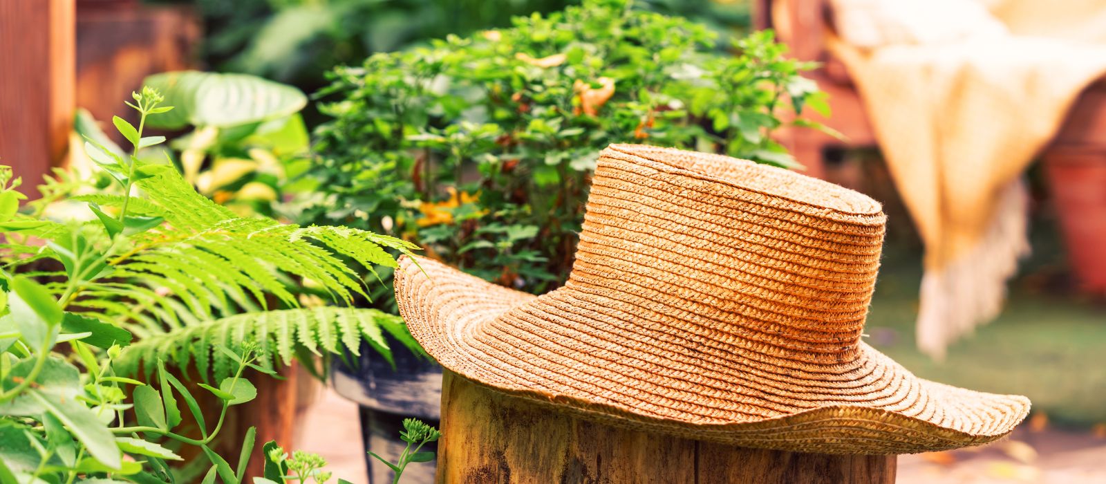 Banner Image - Too Hot to Dig? Banner Image - Too Hot to Dig?