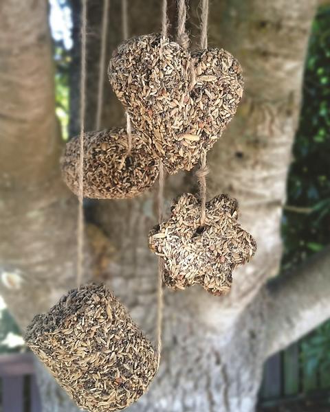 Bird Seed, Ornaments,