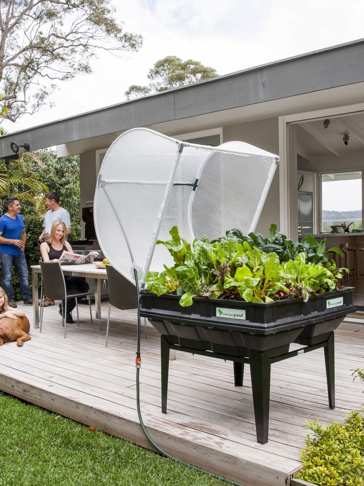 Creating a Veggie Garden