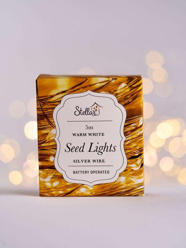 Stellar 5m Silver Warm White 50 LED Seed Lights String