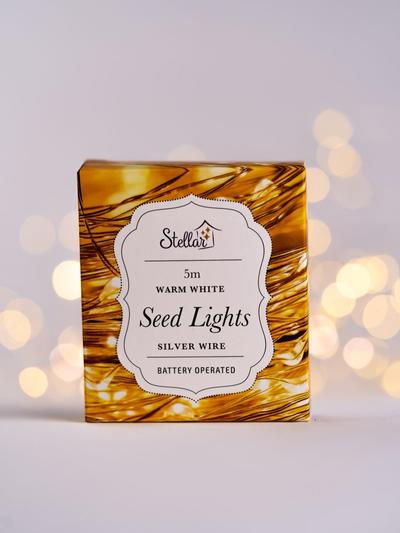 Stellar 5m Silver Warm White 50 LED Seed Lights String