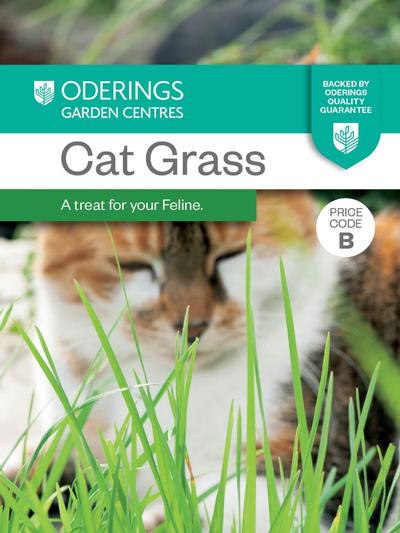 Cat Grass