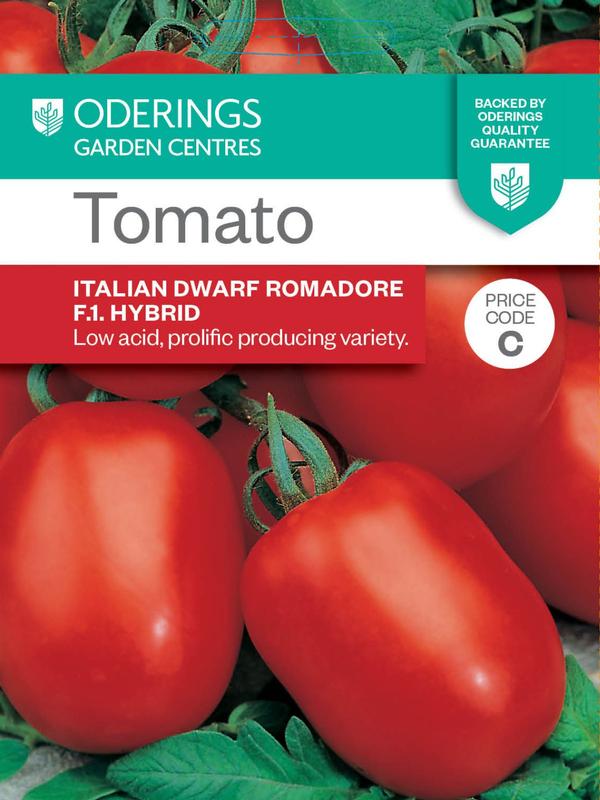 Tomato Italian Dwarf Romadore F1 (Roma)