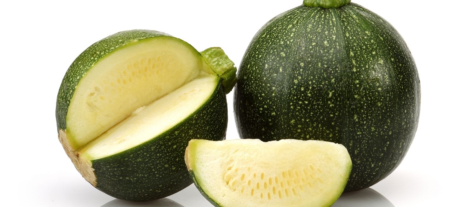 Growing Zucchini Tennis Ball Growing Zucchini Tennis Ball