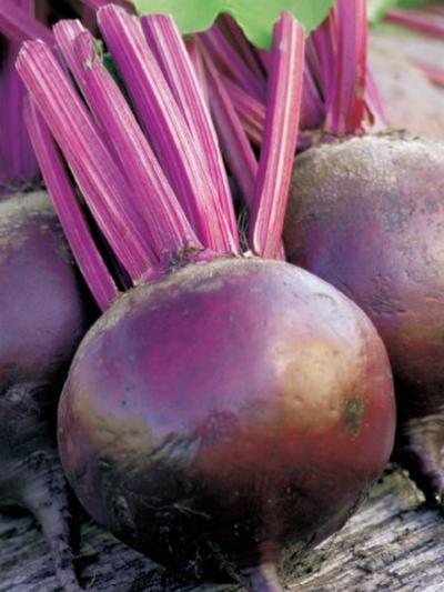 Mr Fothergills Beetroot Moulin Rouge