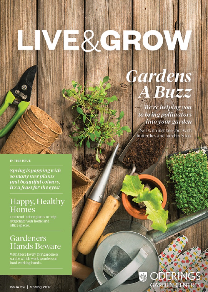 Live and Grow Magazine, Oderings Nursery, Fantastic ideas and Tips for your garden