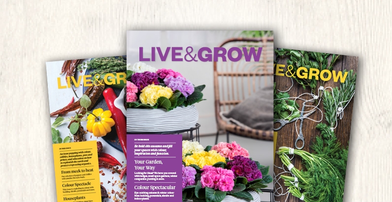 Live & Grow Magazine