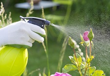 Garden Maintenance, gardening products,