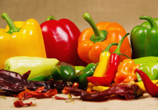 premium peppers, Seedlings