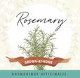 Herb Can, Labels,