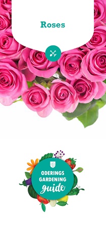 gardening guide, brochures, 