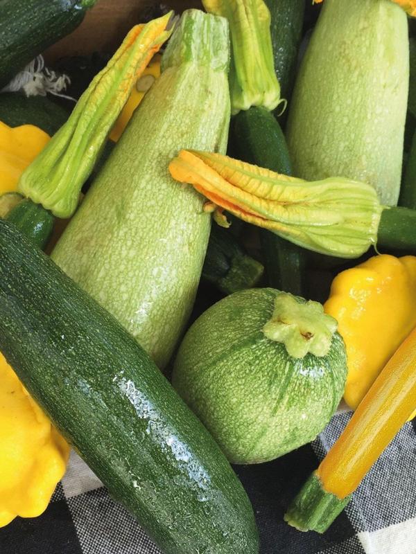 Mr Fothergills Zucchini Gourmet Mix